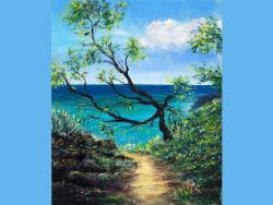 The image for Path to Turquoise Waters